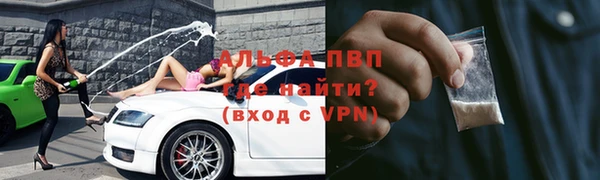 трава Карпинск