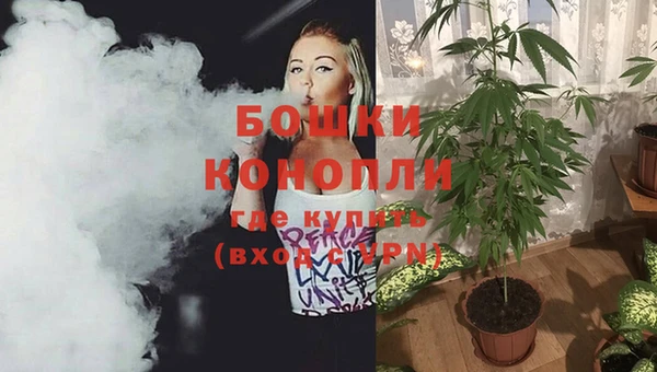 трава Карпинск
