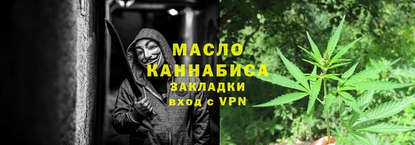 трава Карпинск