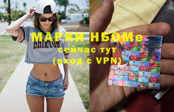 трава Карпинск