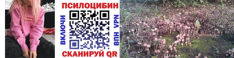 Псилоцибиновые грибы Psilocybine cubensis  Купить закладки  Кропоткин 
